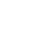 Widgety API